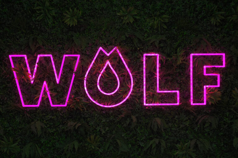 wolf logo in pink on black