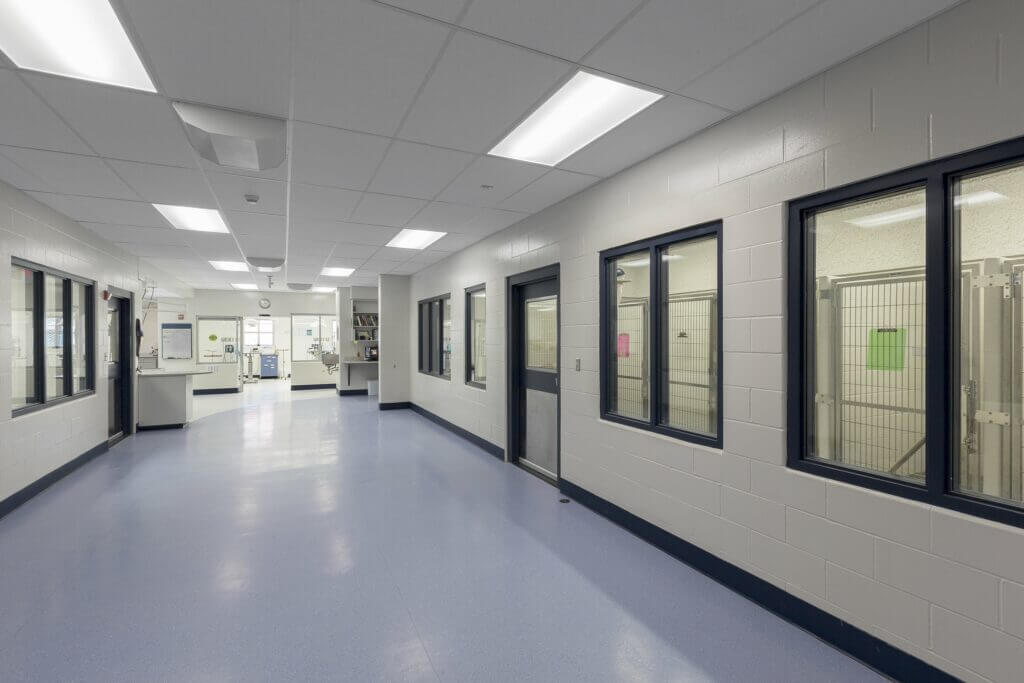 Boarding kennels